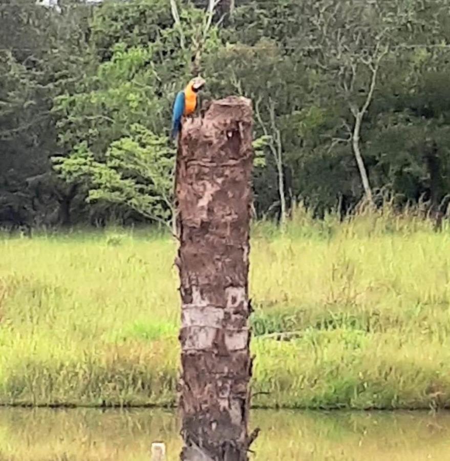 Reserva Jasmim Manga Villa Pirenópolis Eksteriør bilde